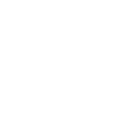 All Random One Site